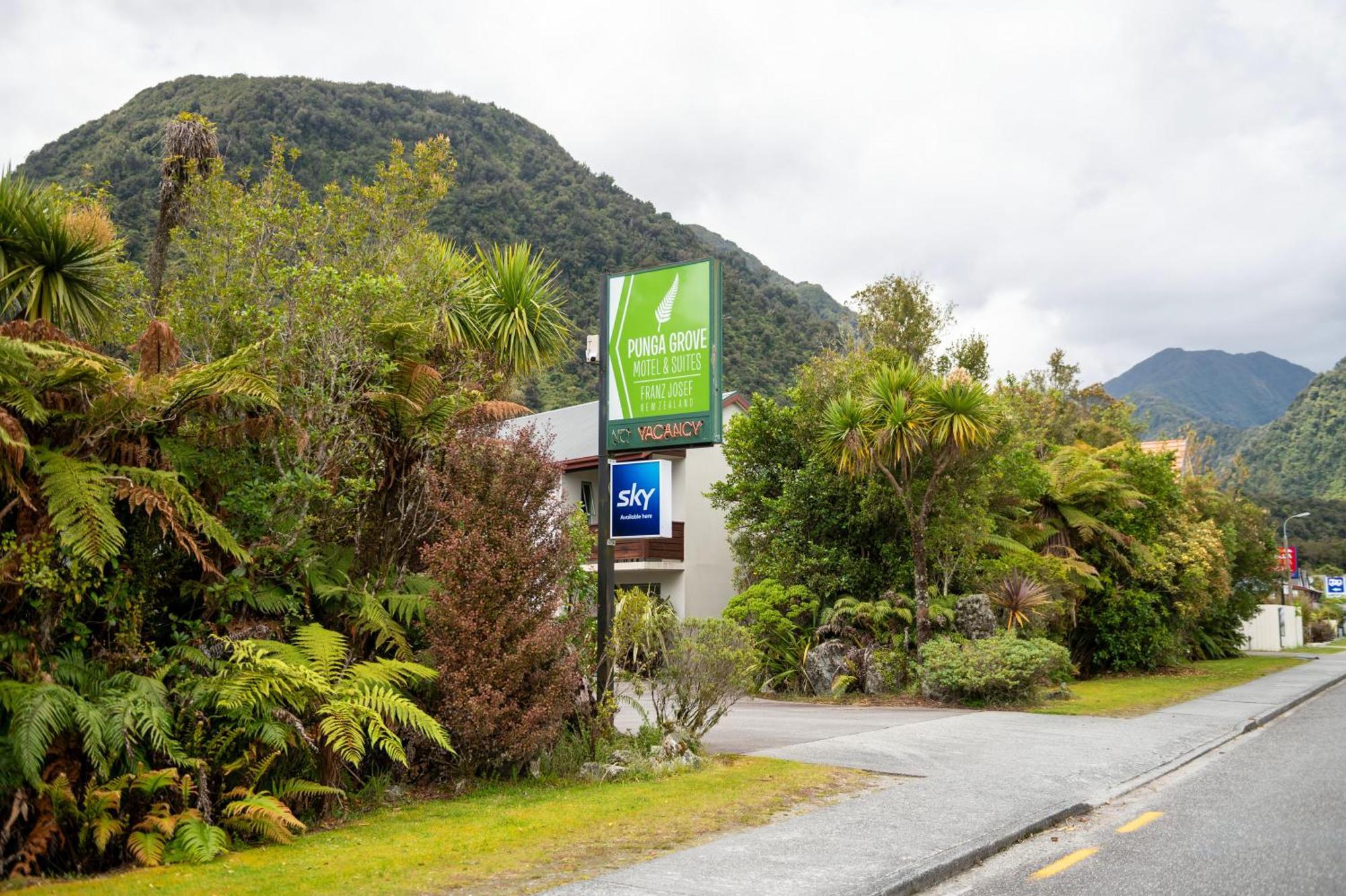 Punga Grove Motel Franz Josef Bagian luar foto