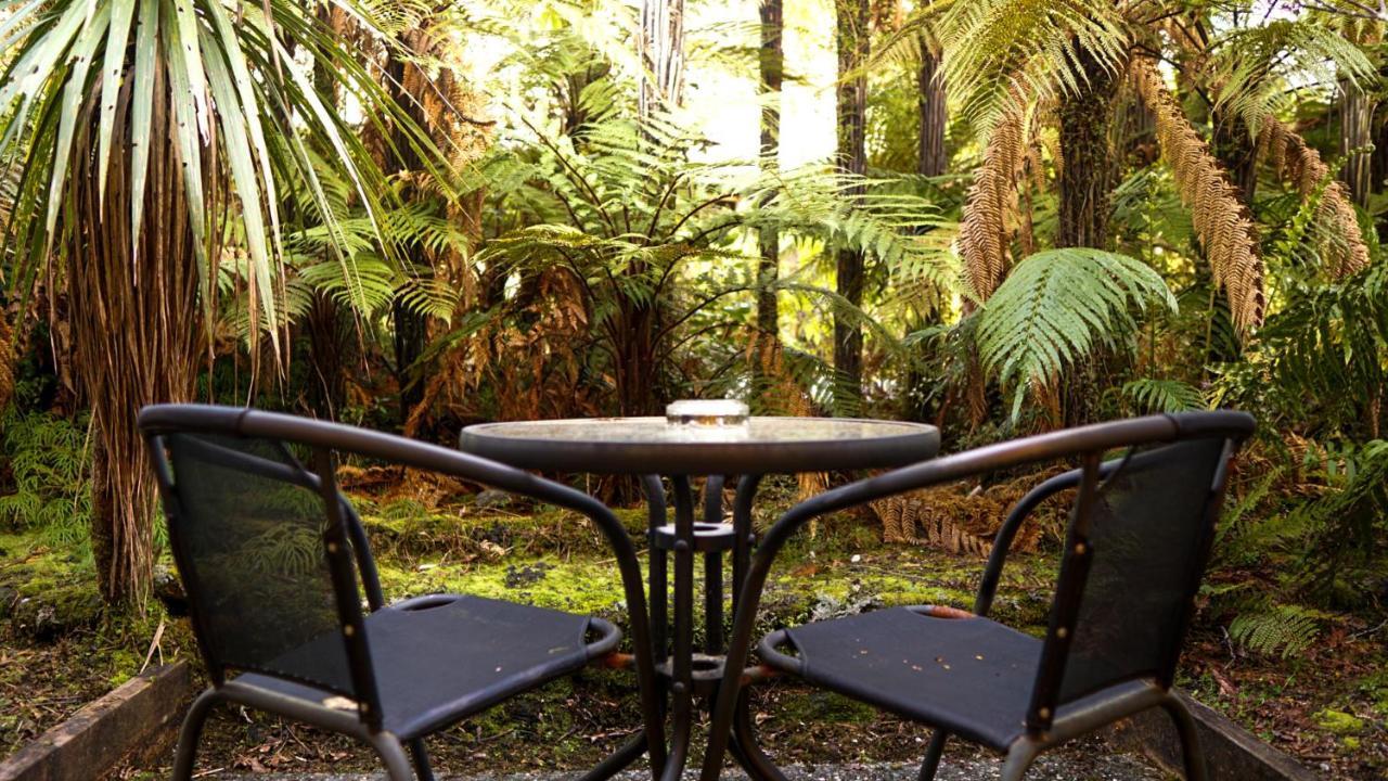 Punga Grove Motel Franz Josef Bagian luar foto