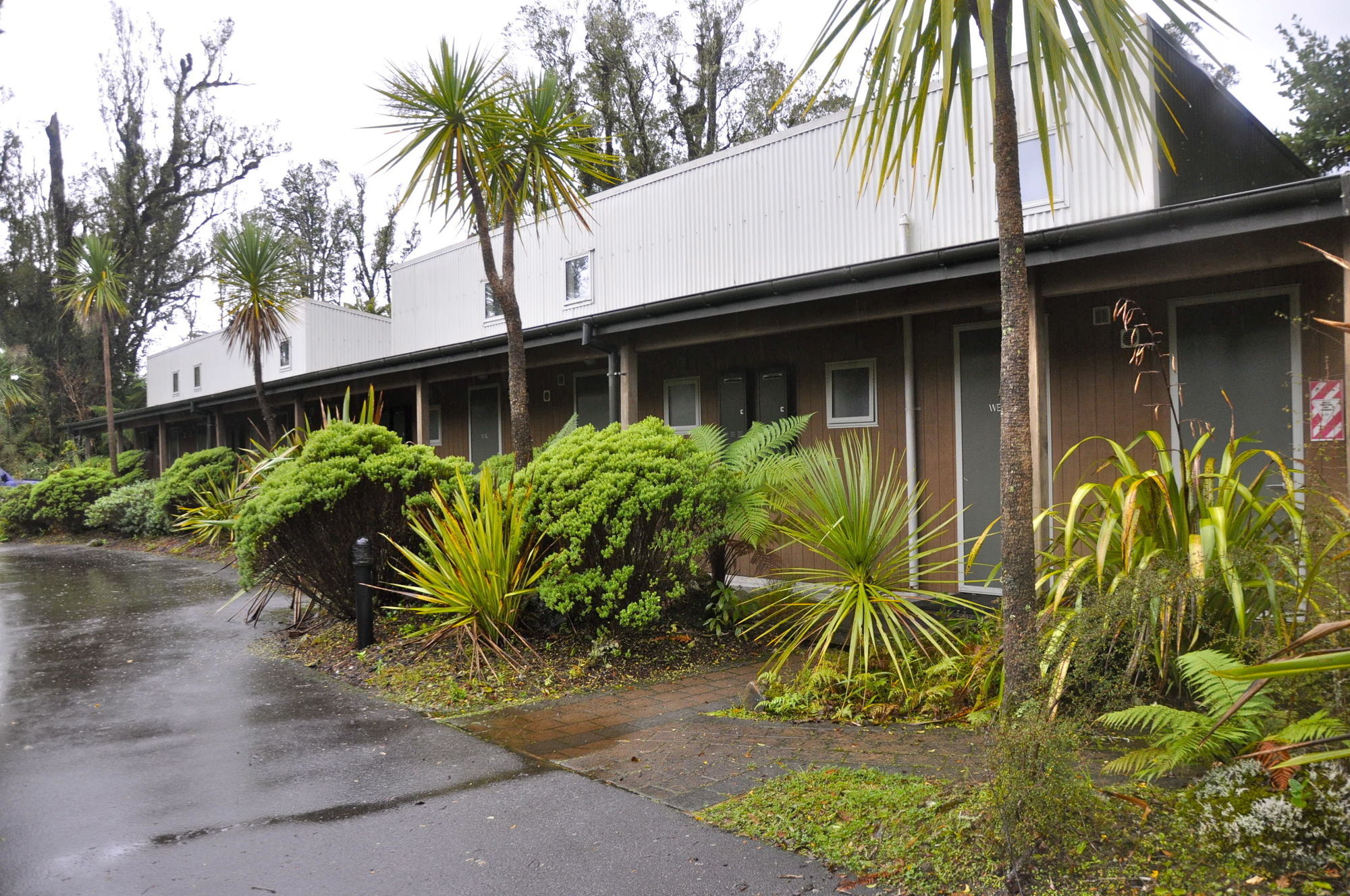 Punga Grove Motel Franz Josef Bagian luar foto