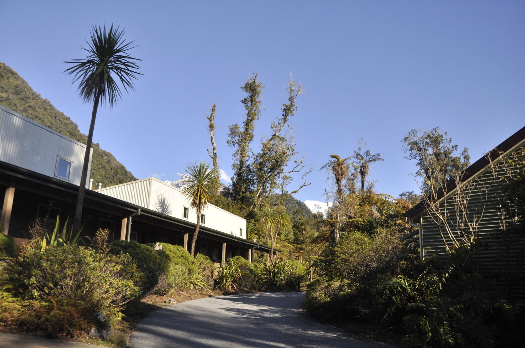 Punga Grove Motel Franz Josef Bagian luar foto
